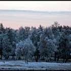 Boberger Dünen Winter 2010