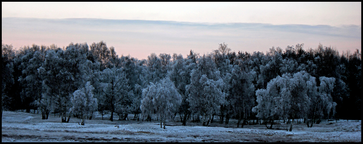 Boberger Dünen Winter 2010