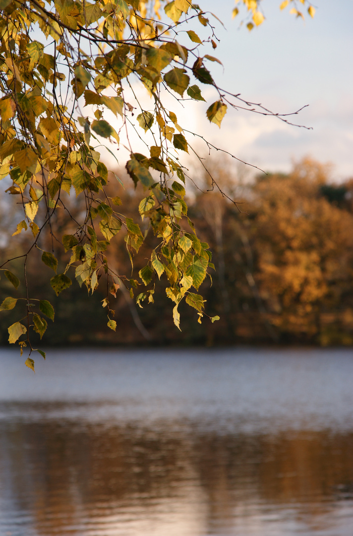 Boberger See, Hamburg