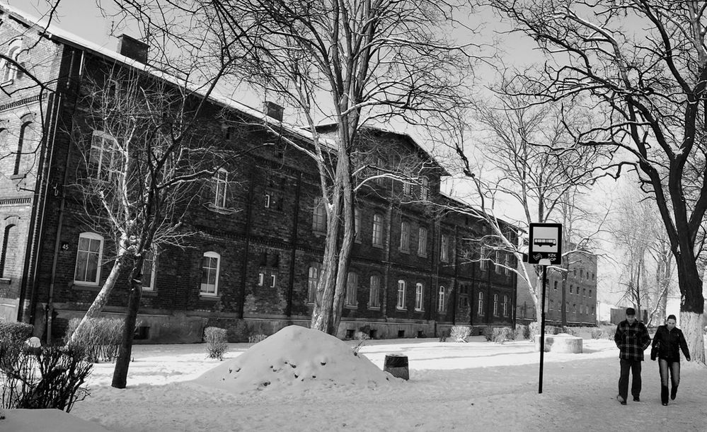 Bobrek 19 Foto & Bild europe, poland, poland & czech republic Bilder