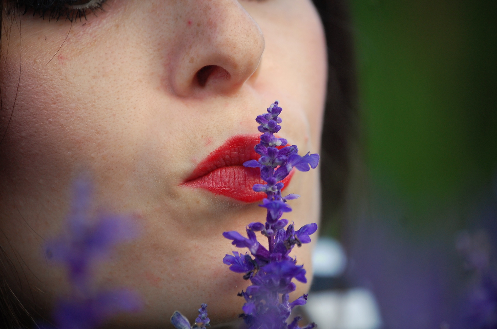 boca-lavanda