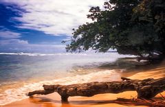 Bocas del Toro