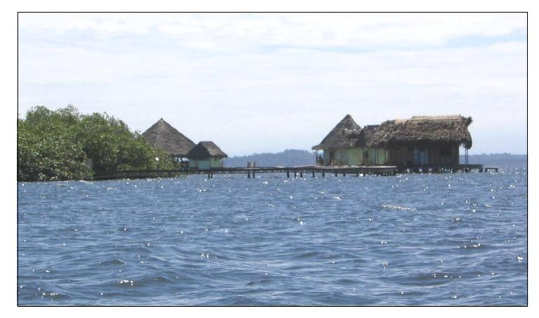 Bocas del Toro