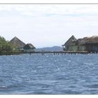 Bocas del Toro