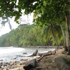 Bocas del Toro, Panama