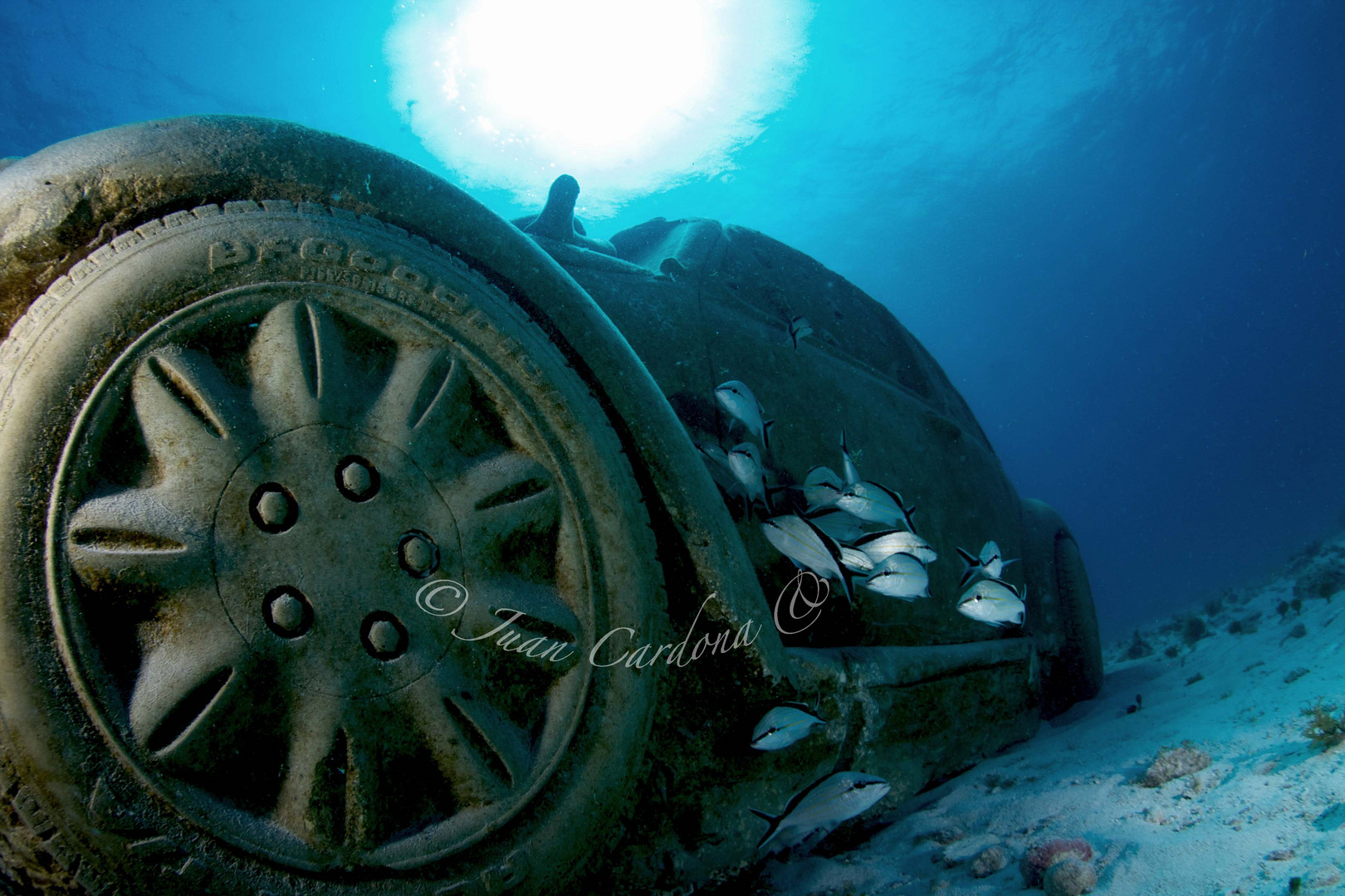 Bocho en el museo submarino de cancun