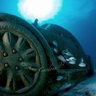 Bocho en el museo submarino de cancun