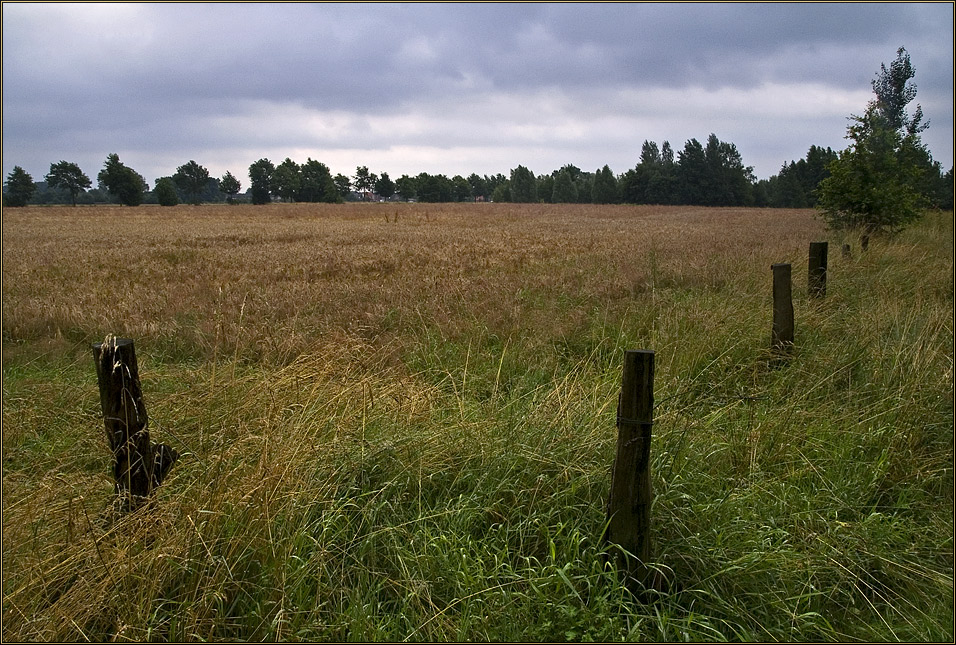 Bocholt (am "Bürgerpark Mosse") / Münsterland, 30.06.2007