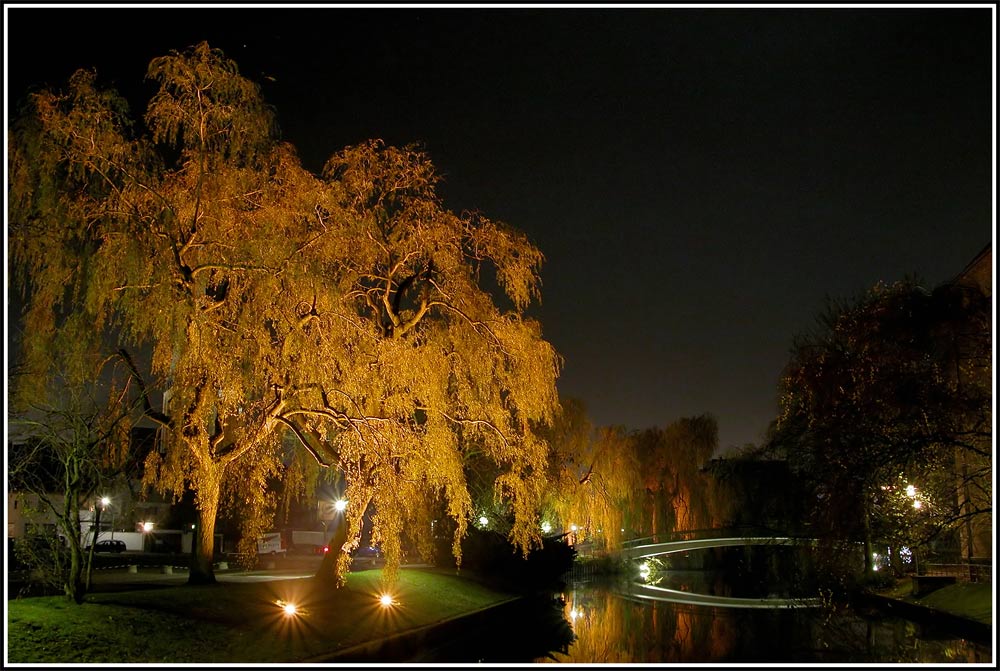 Bocholter Aa bei Nacht Foto & Bild techniken, nachtaufnahmen