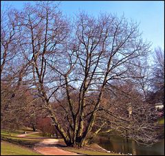 Bochum 12.00 Uhr - +4° Grad