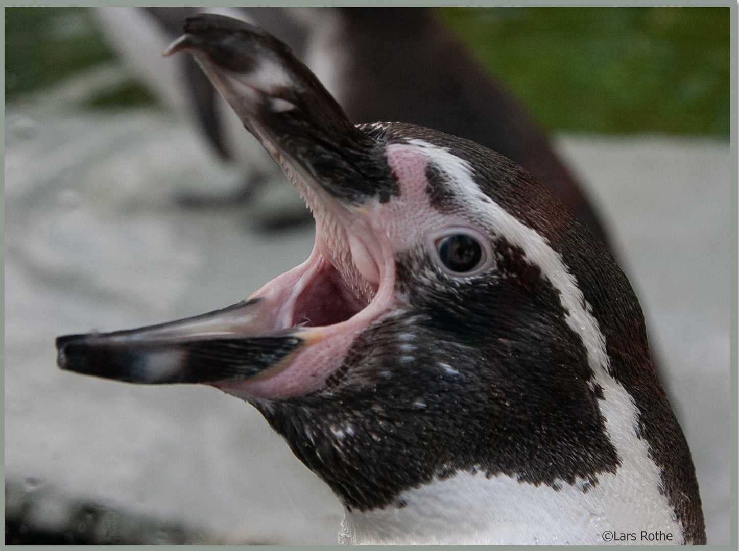 Bochumer Tierpark03.10.2015_0035