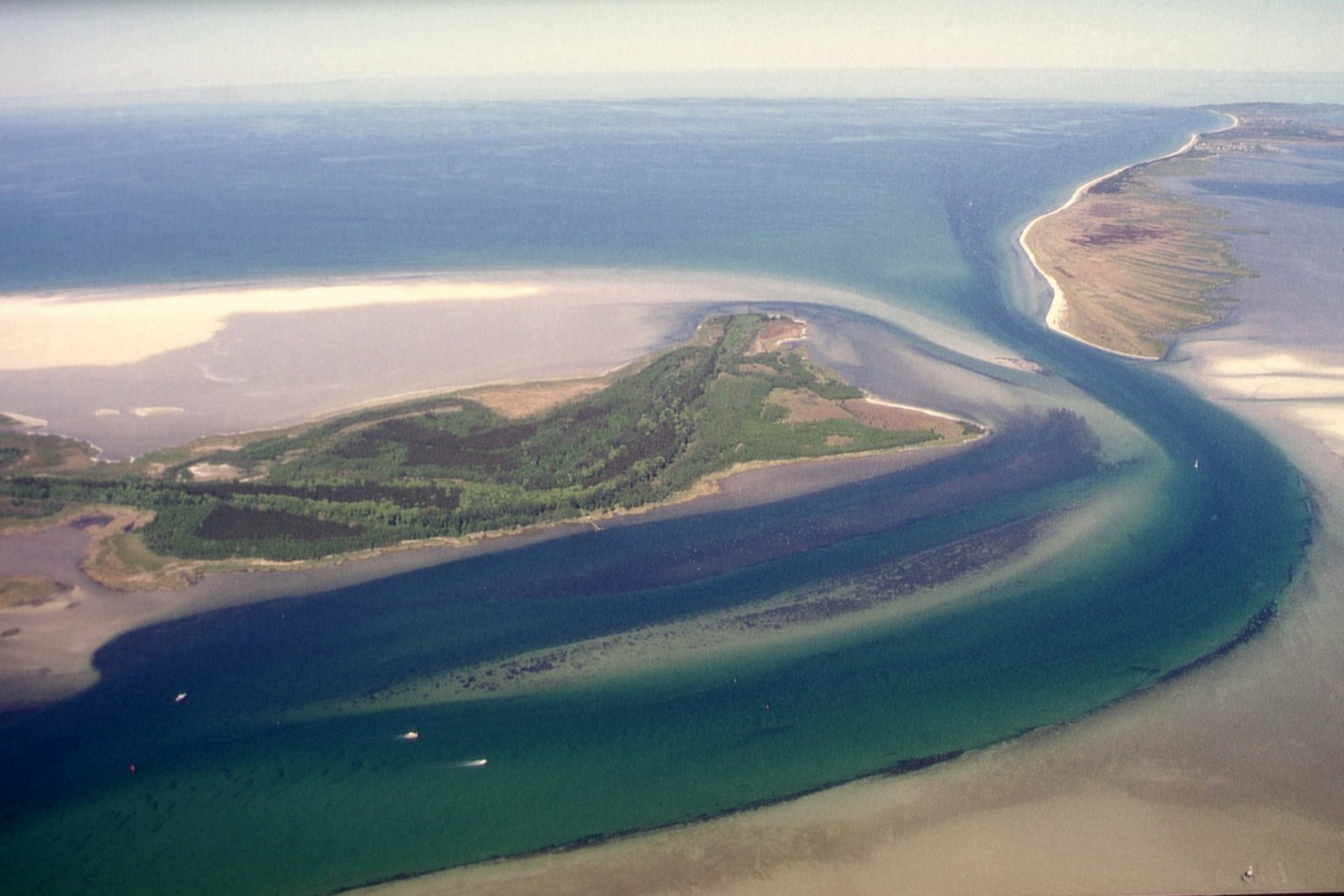 Bock und Gellen, Zwischen Fischland-Darß-Zingst und Hiddensee, Mecklenburg-Vorpommern, Deutschland.