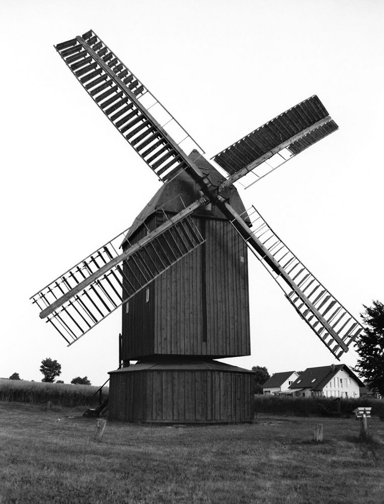 Bock Windmühle in Abbenrode am Elm bei Braunschweig
