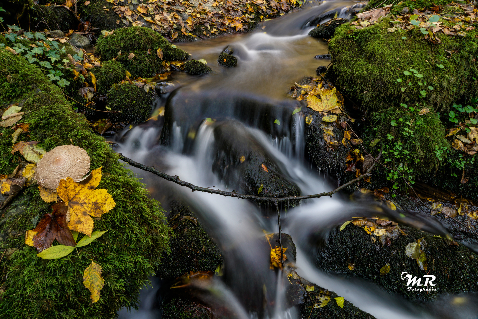 Bockbachtal 1