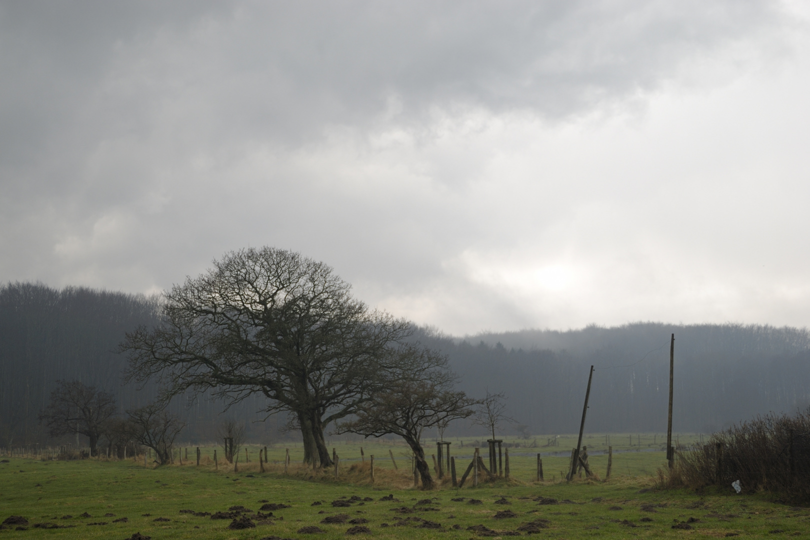 Bockholmwik Osterwetter