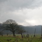 Bockholmwik Osterwetter