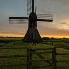 Bockmühle in Honigfleeth bei Wilster/ Schleswig-Holstein