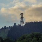 Bocksberg Hahnenklee am Morgen (Sommer 2020)