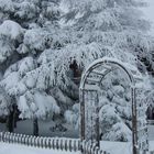 Bocksberg, Harz