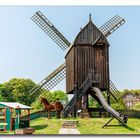 Bockwindmühle #2 am Städtischen Museum Schloss Salder