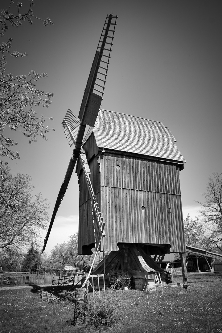  Bockwindmühle