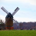 Bockwindmühle Abbenrode