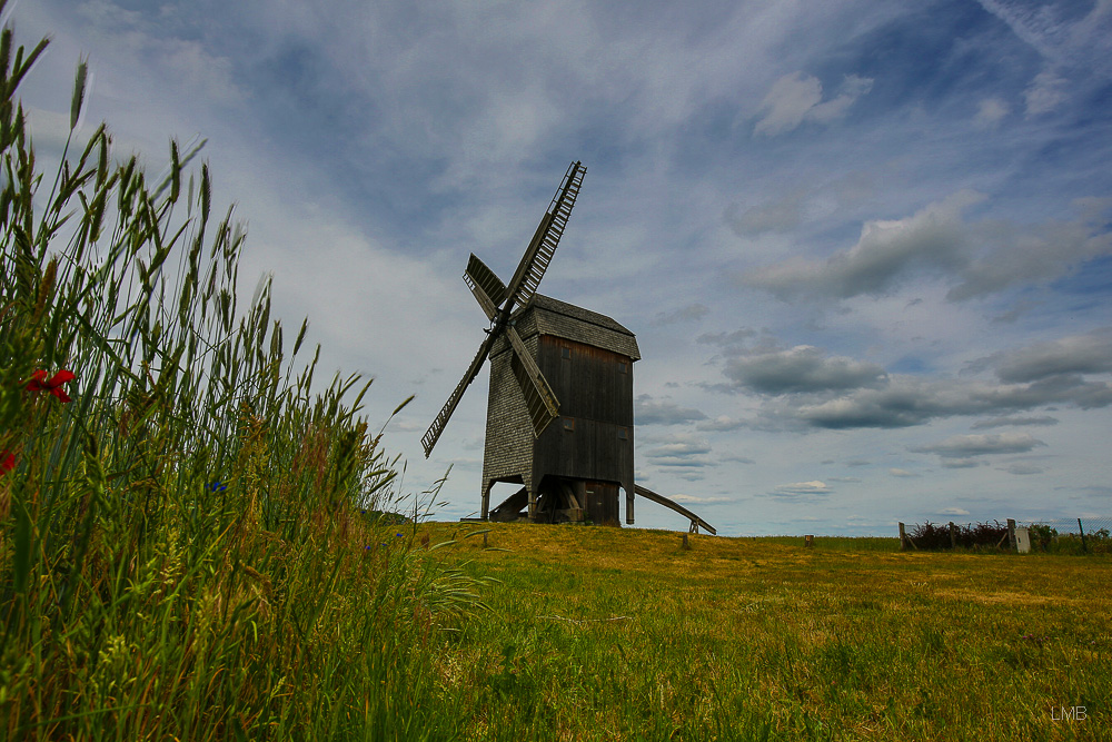 Bockwindmühle am Kornfeld