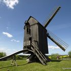 Bockwindmühle auf Usedom