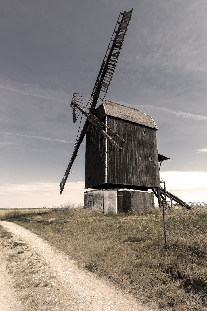 Bockwindmühle Ausleben