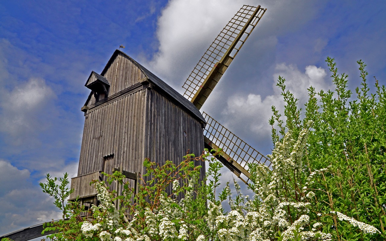 Bockwindmühle bei Pudagla / Usedom