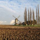 Bockwindmühle bei Titz (Rheinland)