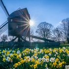 Bockwindmühle  -  Braunschweig-Riddagshausen 