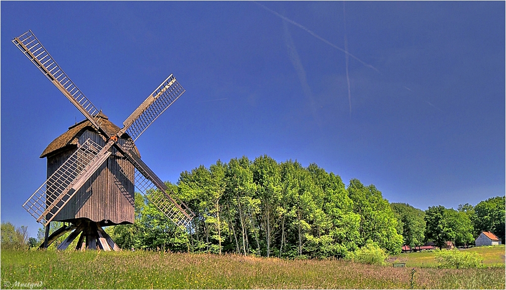 ~ Bockwindmühle ~