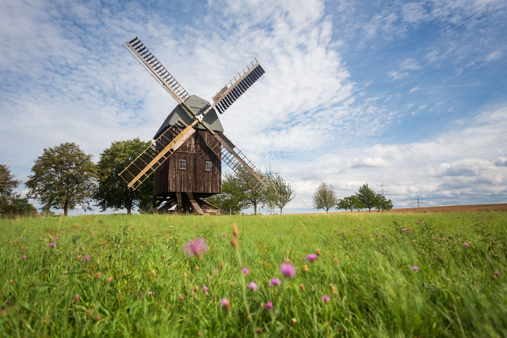 Bockwindmühle 