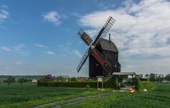 Bockwindmühle Eimersleben