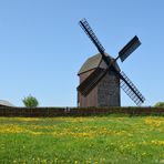 Bockwindmühle im Frühling