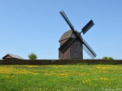 Bockwindmühle im Frühling