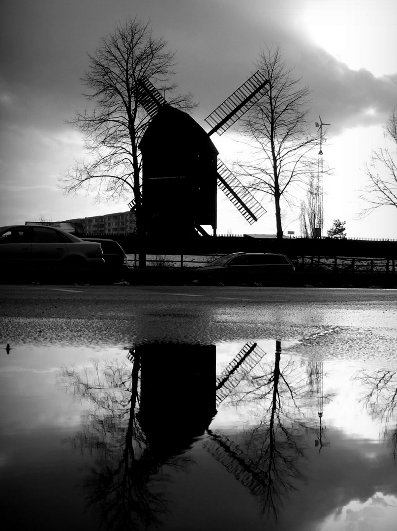 Bockwindmühle im Gegenlicht