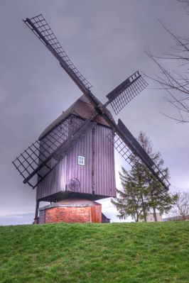 Bockwindmühle in Anderbeck / Huy