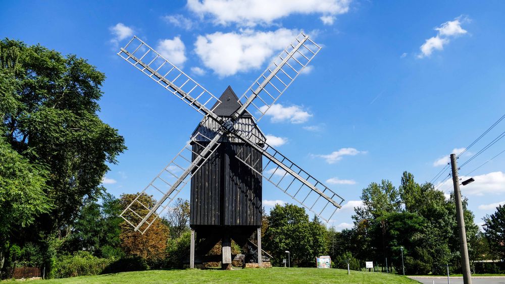 Bockwindmühle in Brehna