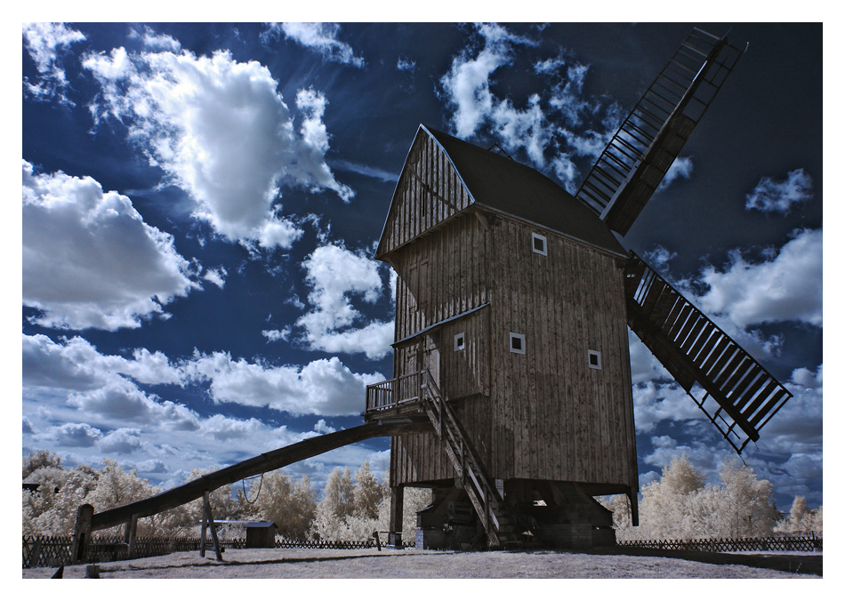 Bockwindmühle in Cammer