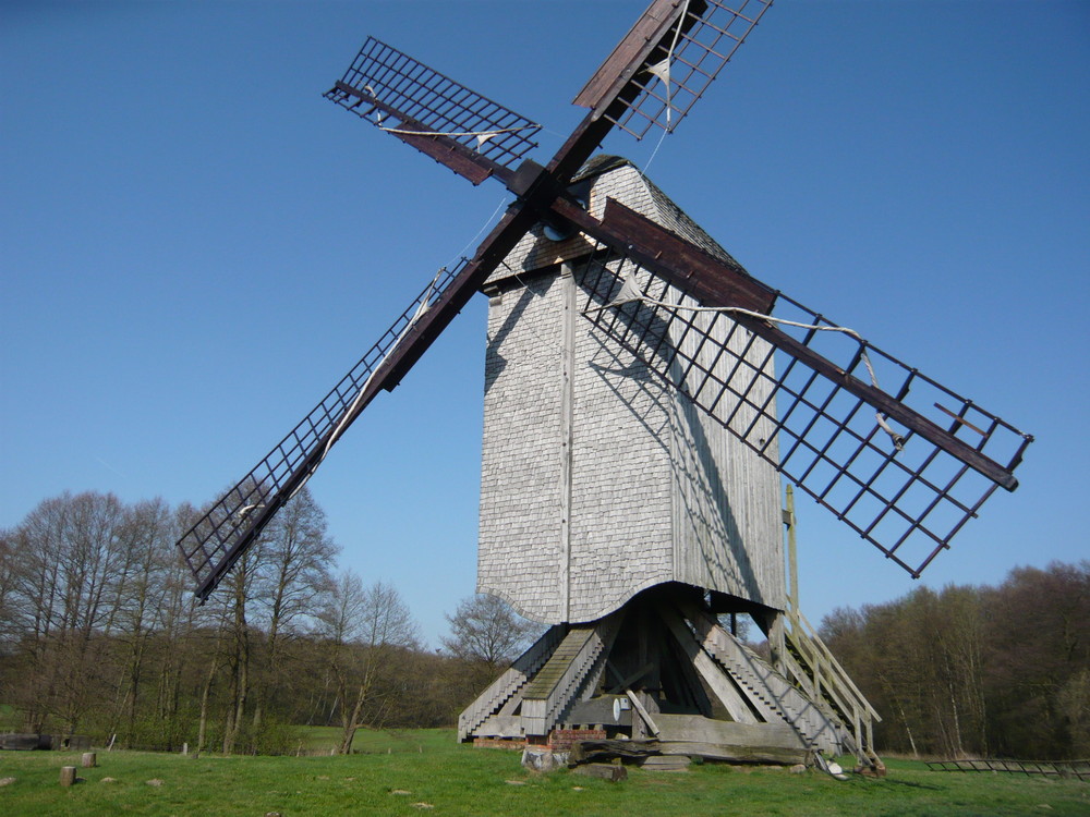 Bockwindmühle in Dudensen