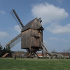 Bockwindmühle in Grieben