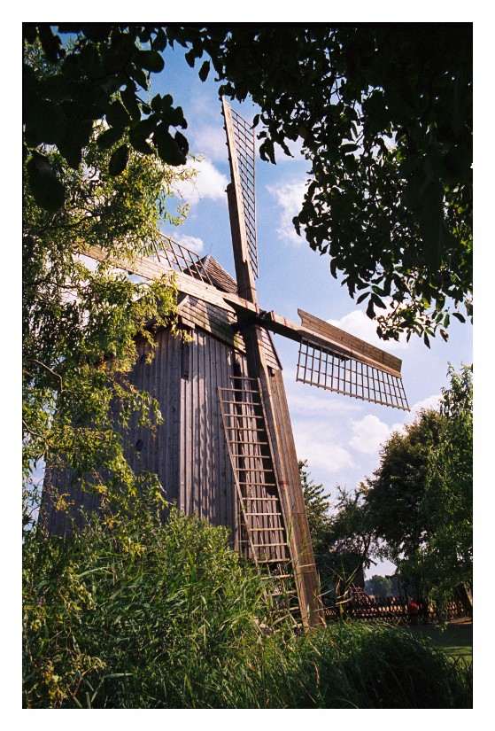 Bockwindmühle in Langenroda