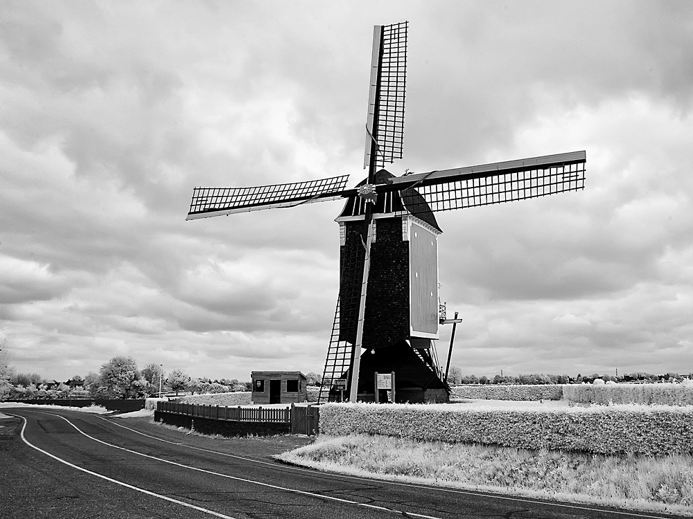 Bockwindmühle IR