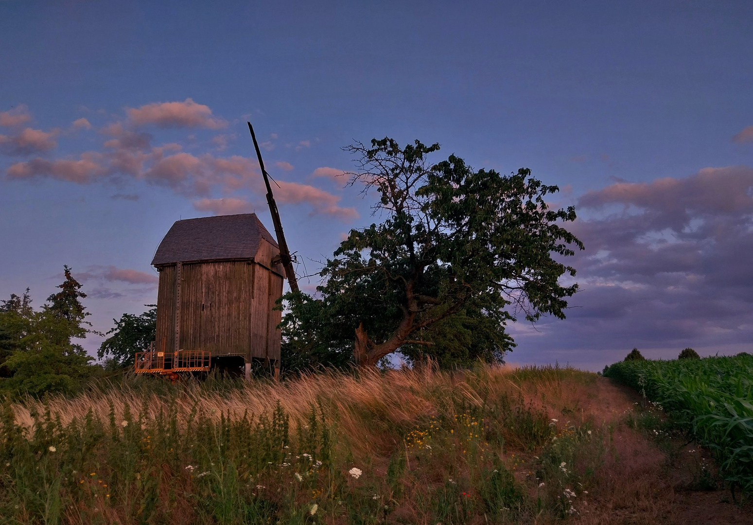 Bockwindmühle Leimbach bei Querfurt