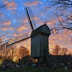 Bockwindmühle / Mühlenhof-Freilichtmuseum Münster