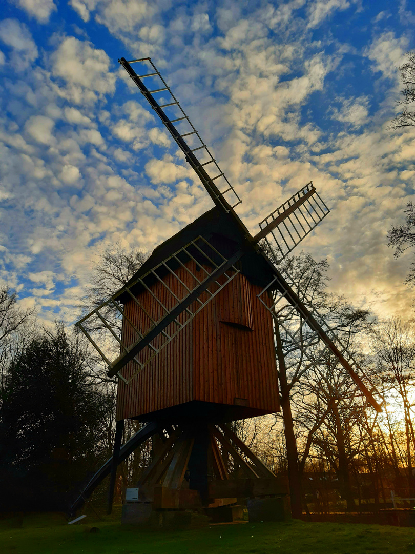 Bockwindmühle Stade.....