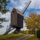 Bockwindmühle Tönisberg