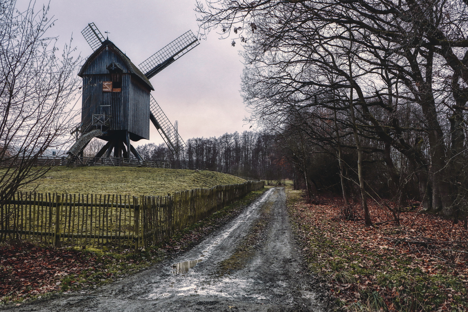 Bockwindmühle von der Papenburg